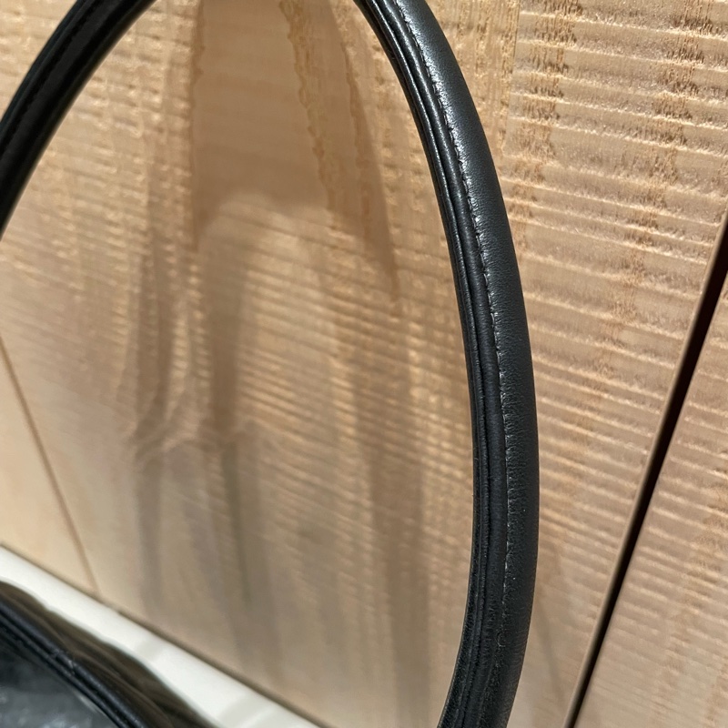 Chanel 銀幣希爾頓包-6