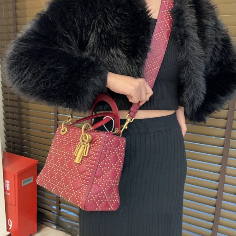 Dior 五格黛妃包 限定款-3