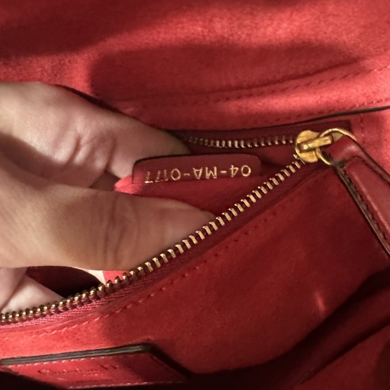 Dior 五格黛妃包 限定款-20