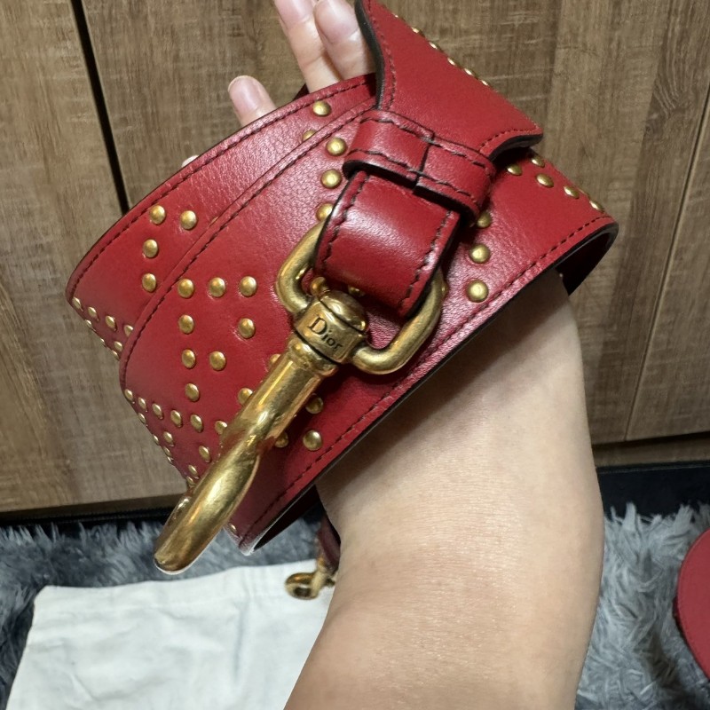 Dior 五格黛妃包 限定款-23