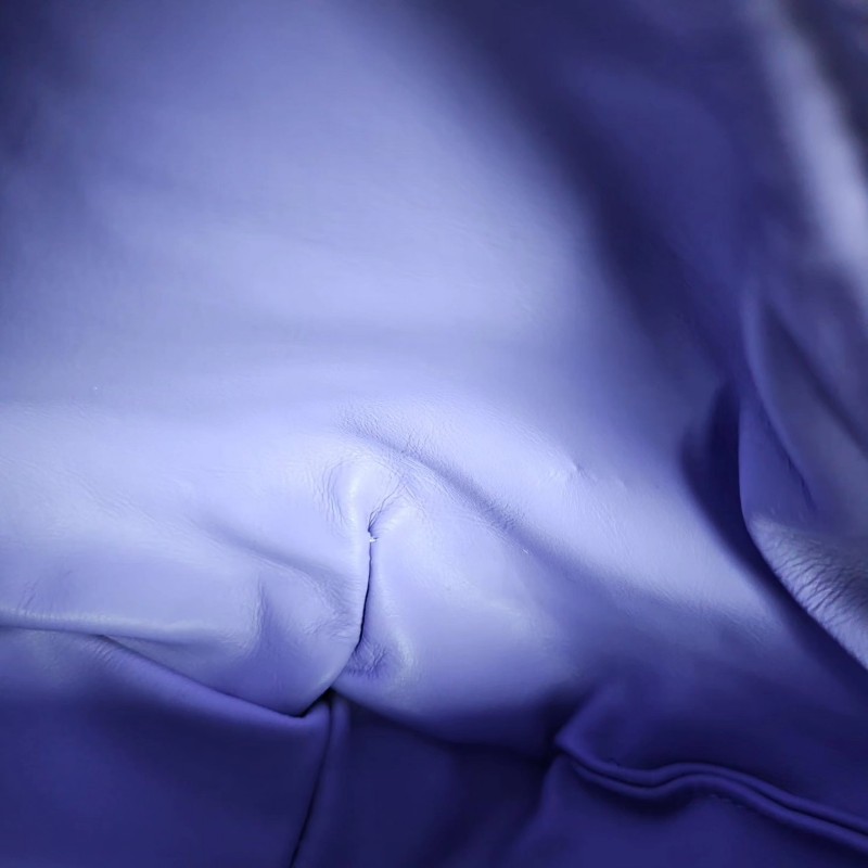 BV 紫色mini Jodie-10