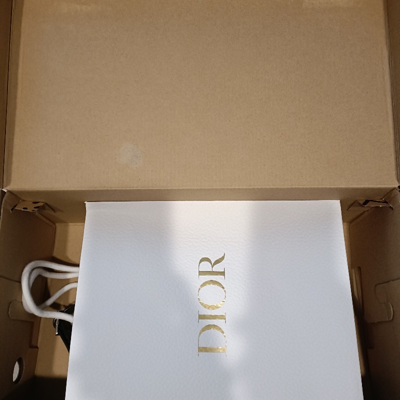 Dior vintage 老花大D扣腋下包-27