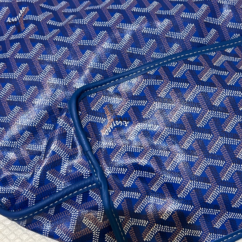 Goyard Anjou PM 托特包-10