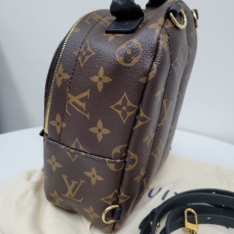 LV Palm Springs Mini-1