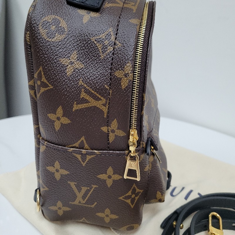 LV Palm Springs Mini-2