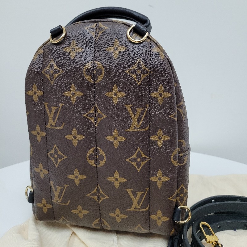 LV Palm Springs Mini-3