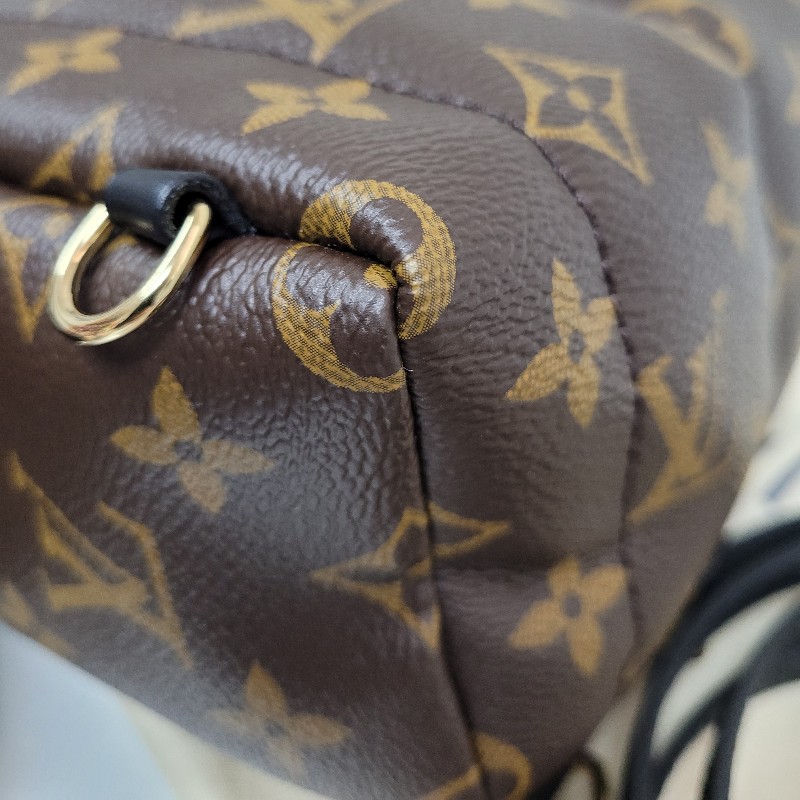 LV Palm Springs Mini-5