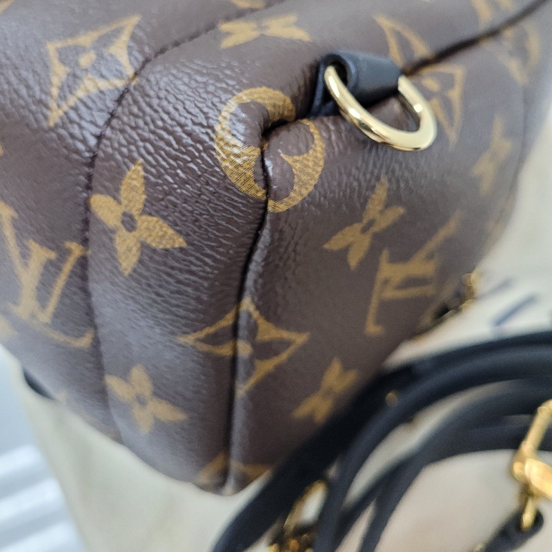 LV Palm Springs Mini-6