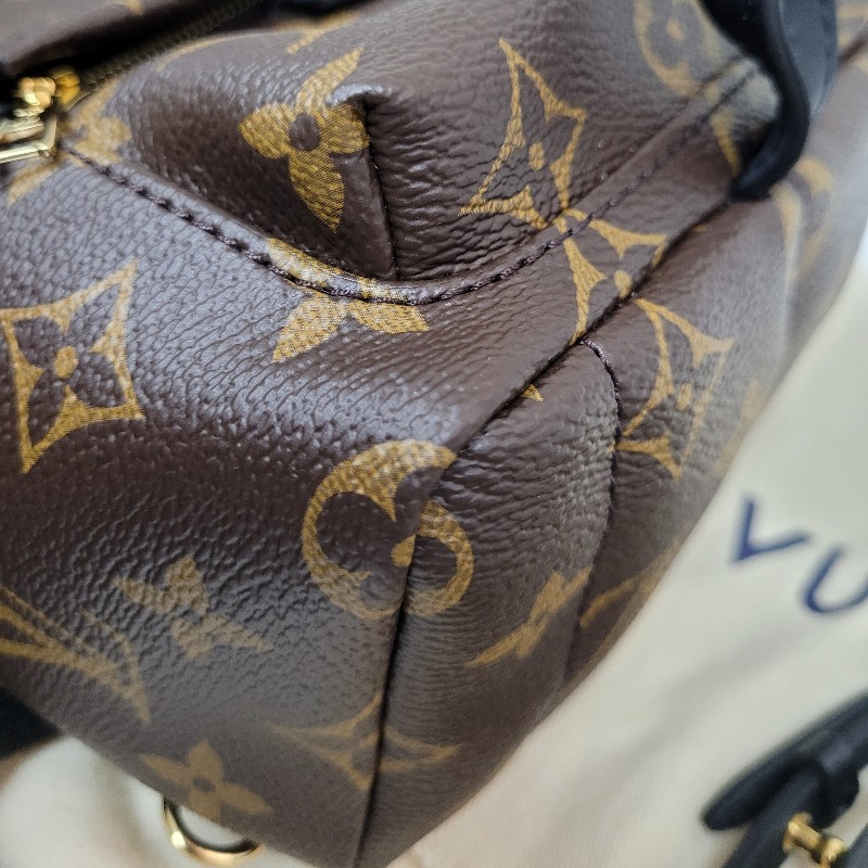 LV Palm Springs Mini-7