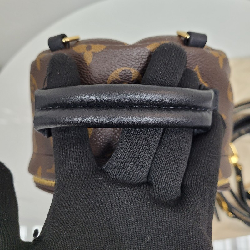 LV Palm Springs Mini-9