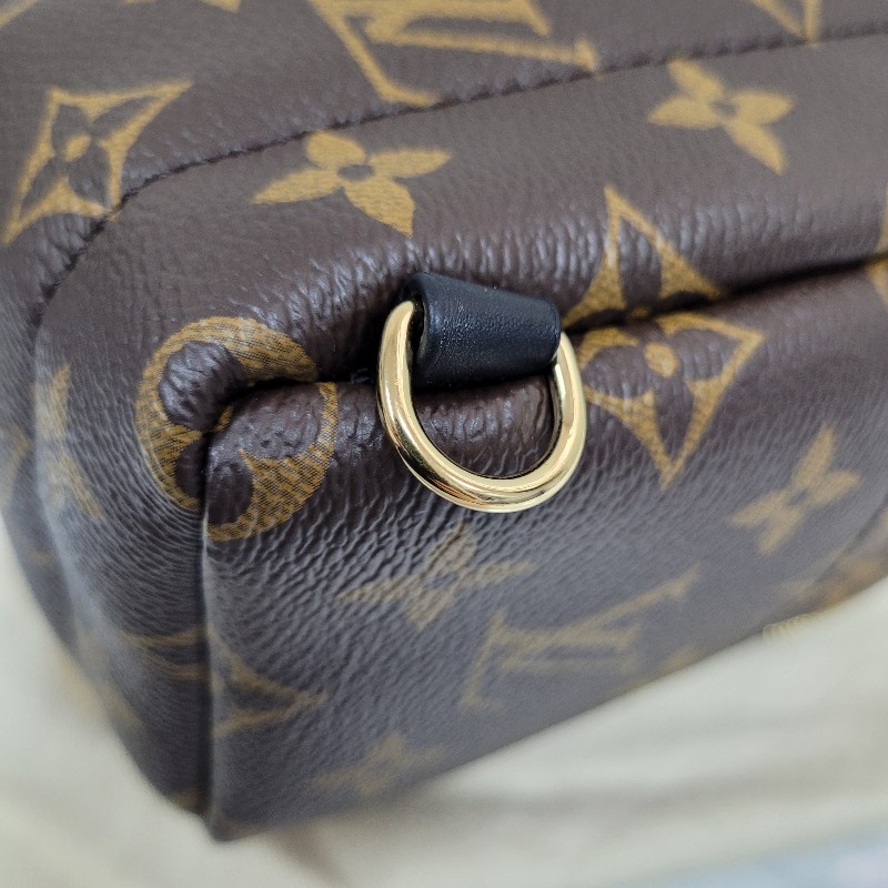 LV Palm Springs Mini-26