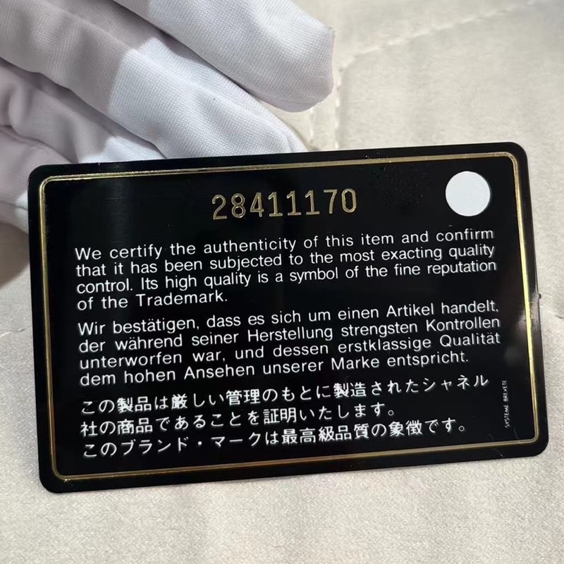 Chanel Leboy 20 埃及限定款 鱷魚壓紋 黑金配色-21