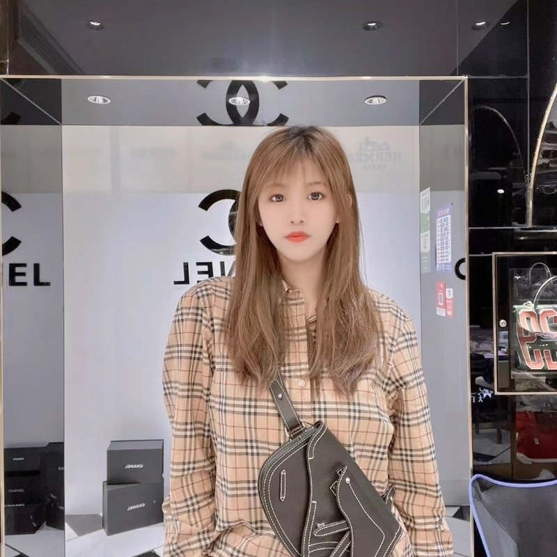 DIOR 馬鞍包 馬鞍胸包-2