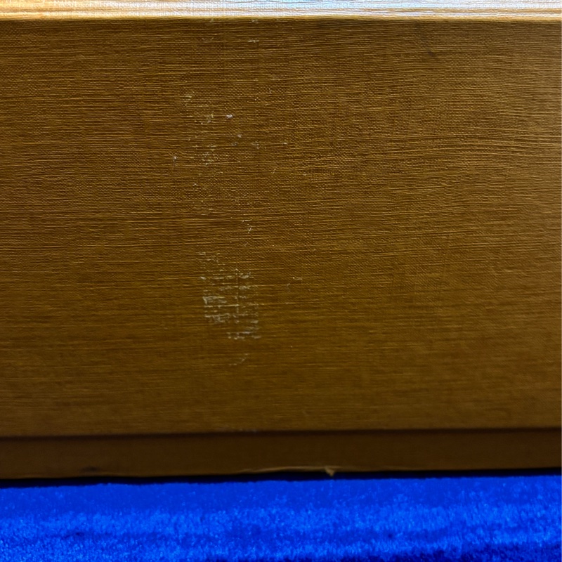 LOUIS VUITTON Diane米色真皮肩/側背包-14