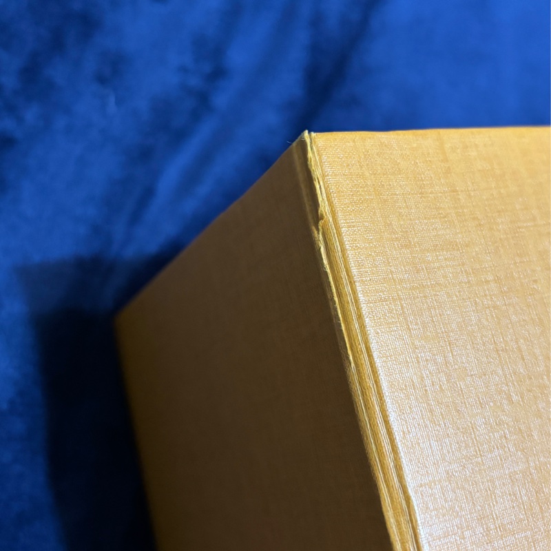 LOUIS VUITTON Diane米色真皮肩/側背包-16