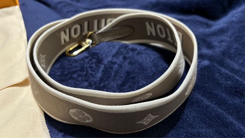 LOUIS VUITTON Diane米色真皮肩/側背包-17