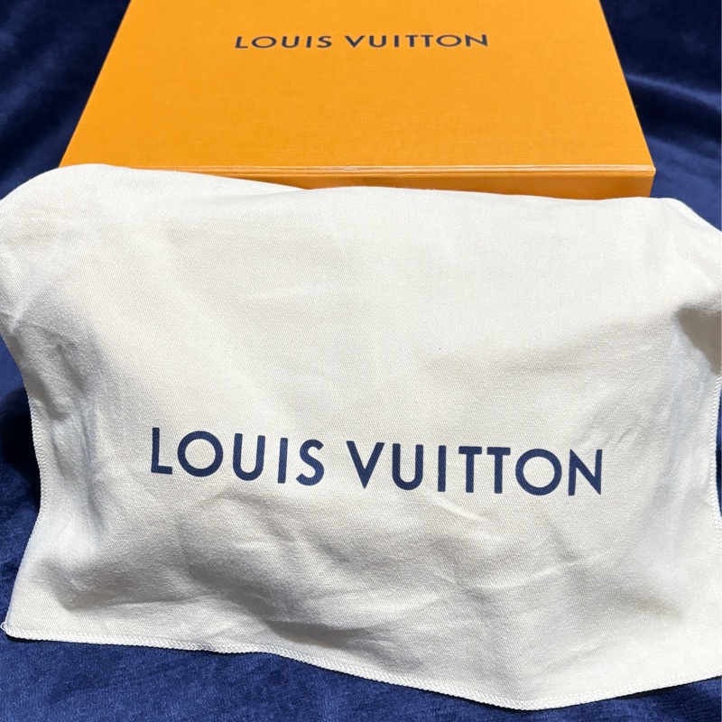 LOUIS VUITTON Diane米色真皮肩/側背包-21