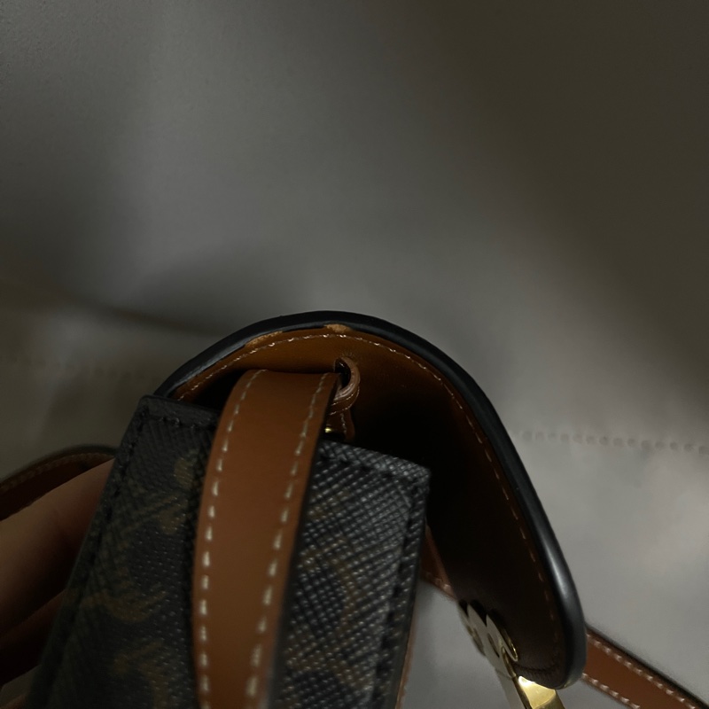 CELINE TRIOMPHE 帆布及小牛皮迷你型TRIOMPHE 手袋-12