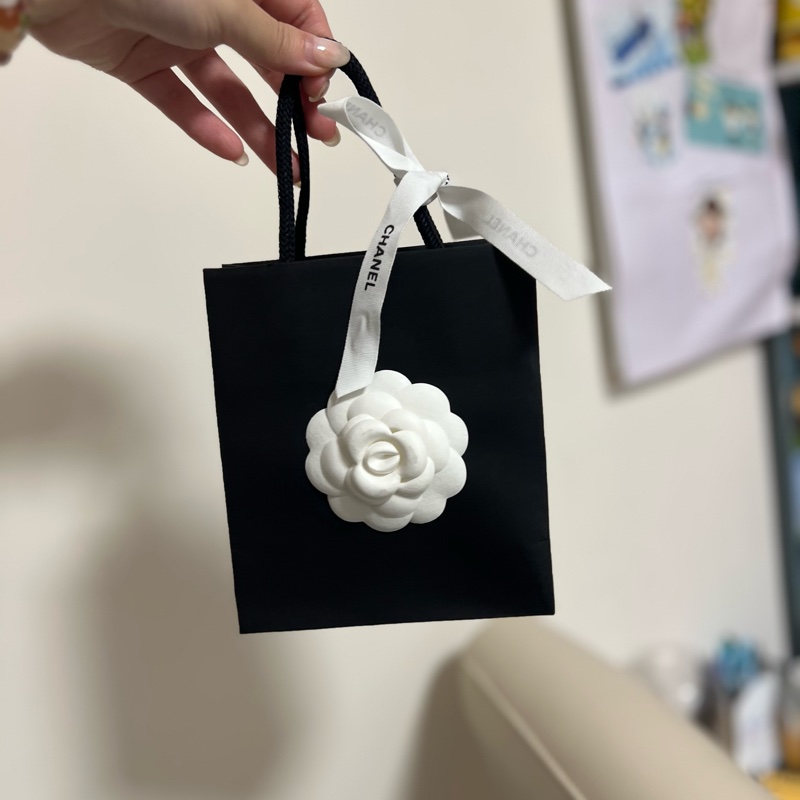 香奈兒 Chanel 手袋 雙c logo 耳環 全新-4