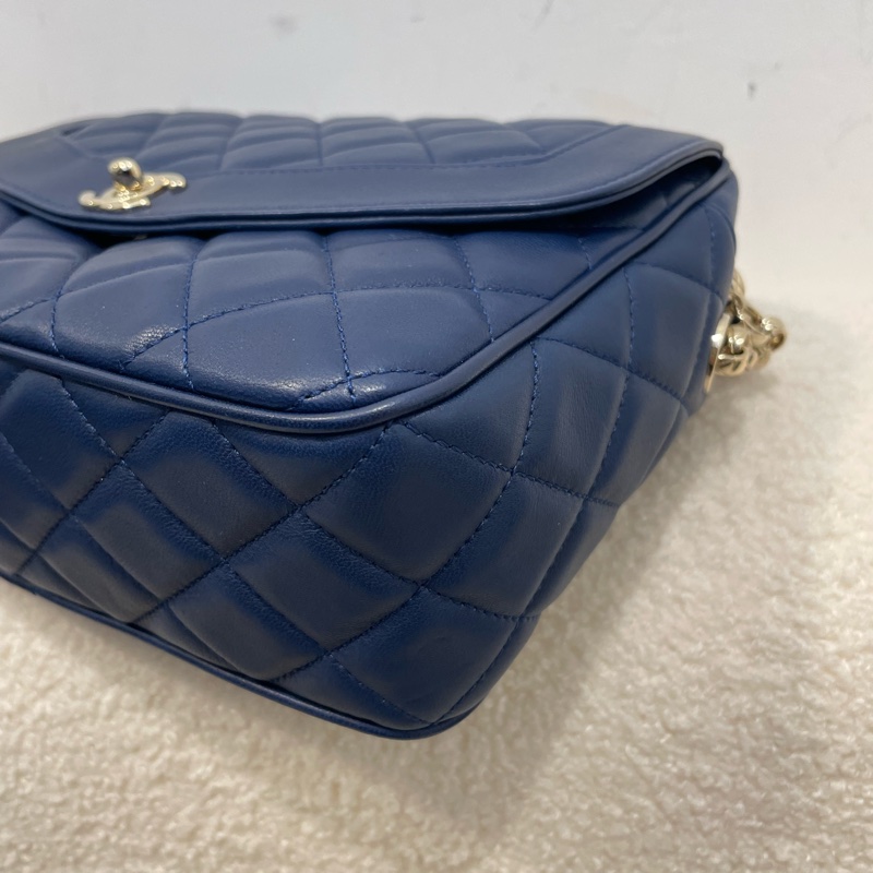 Chanel Diana Camera bag｜PopChill 拍拍圈