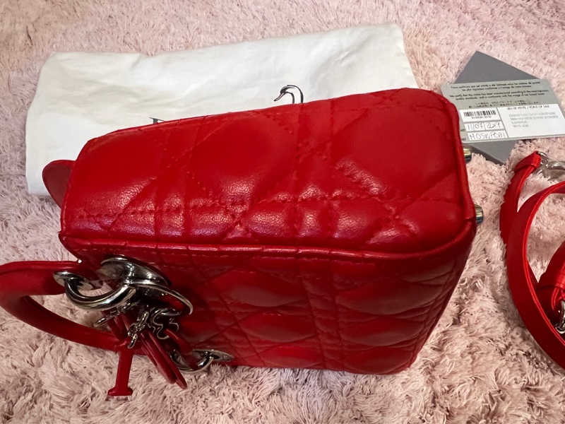 Lady Dior 2019 Lambskin 二手-14