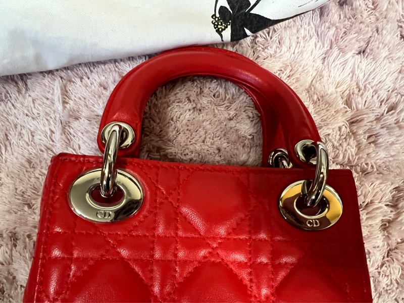 Lady Dior 2019 Lambskin 二手-19