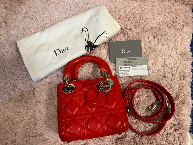 Lady Dior 2019 Lambskin 二手-21
