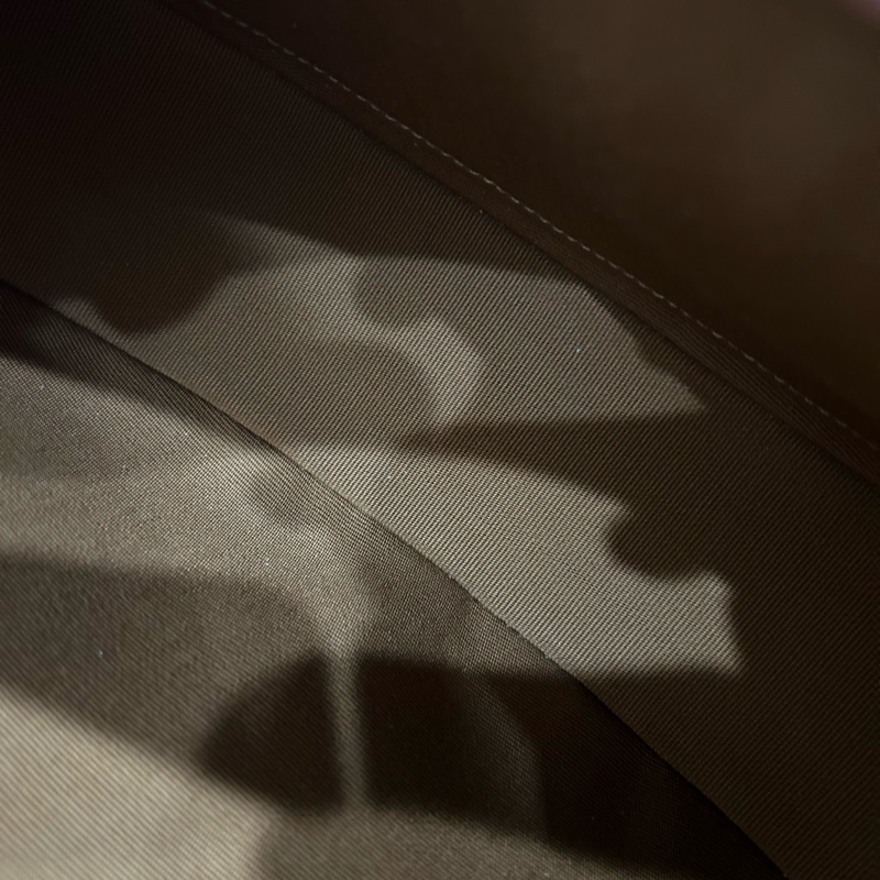 Celine ava TRIOMPHE帆布AVA手袋 老花 腋下包 肩背包-15