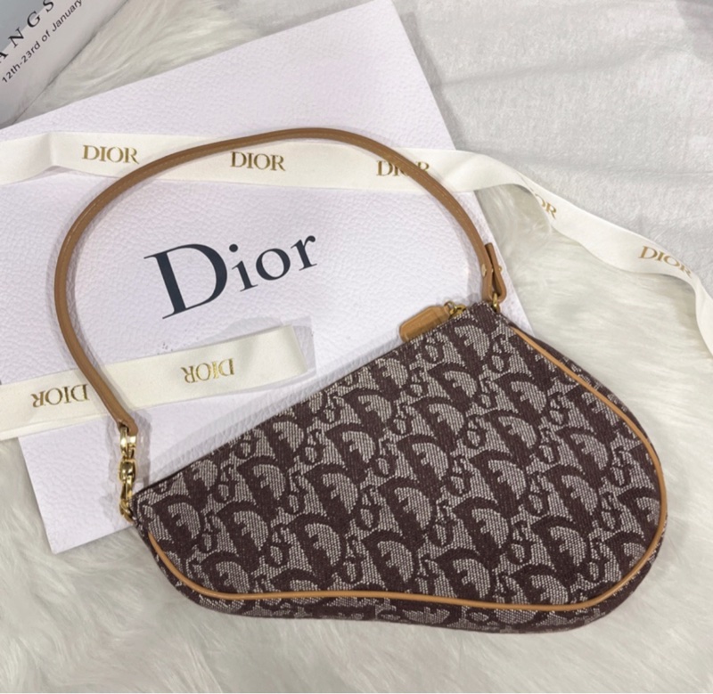 Dior 老花馬鞍包-1