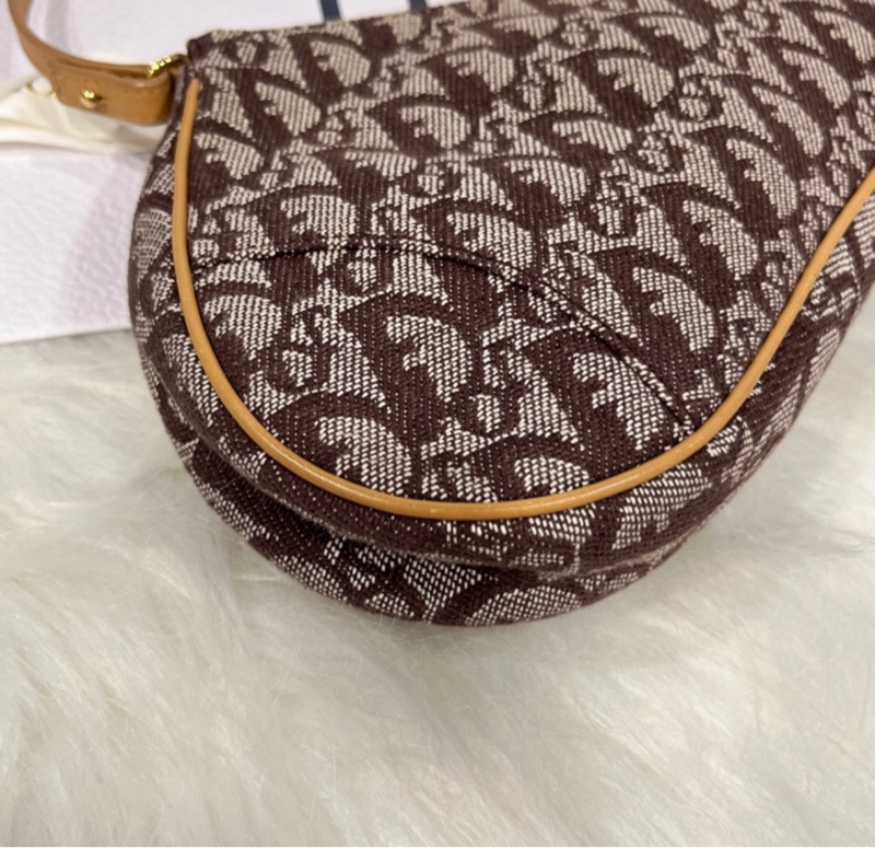 Dior 老花馬鞍包-11