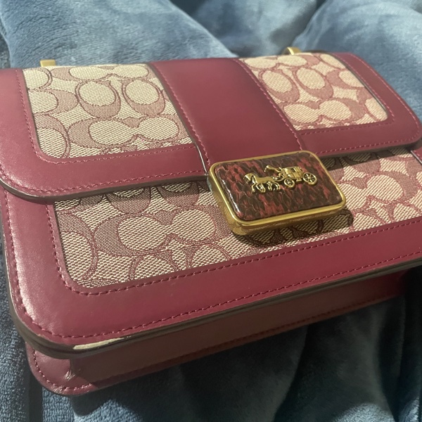 coach ALIE 許路兒同款包-11