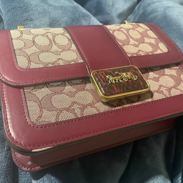 coach ALIE 許路兒同款包-20