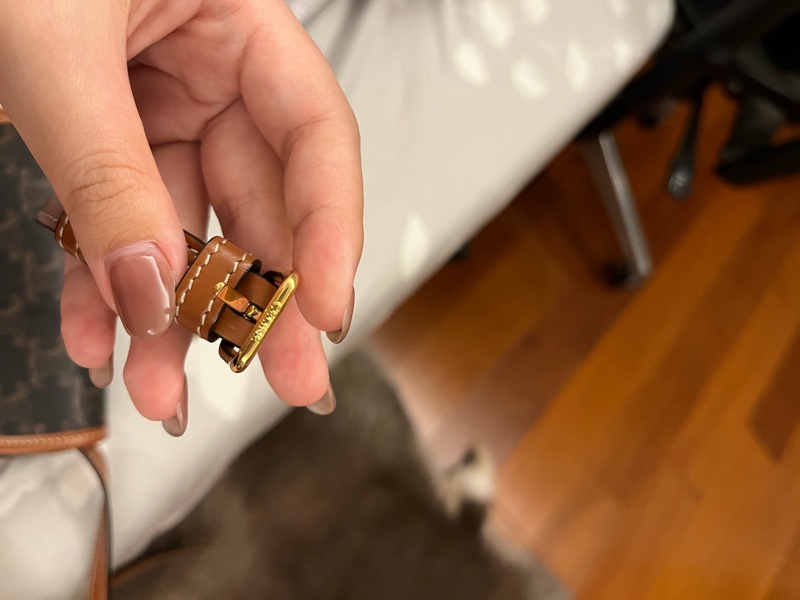 Celine迷你馬鞍包-3