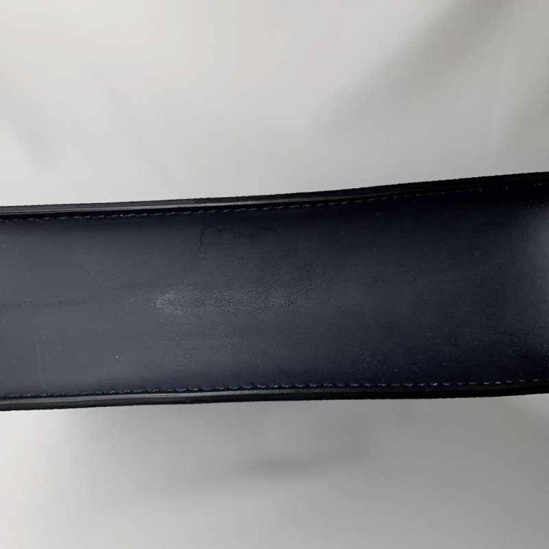 LV POCHETTE VOYAGE獅子手拿包-11