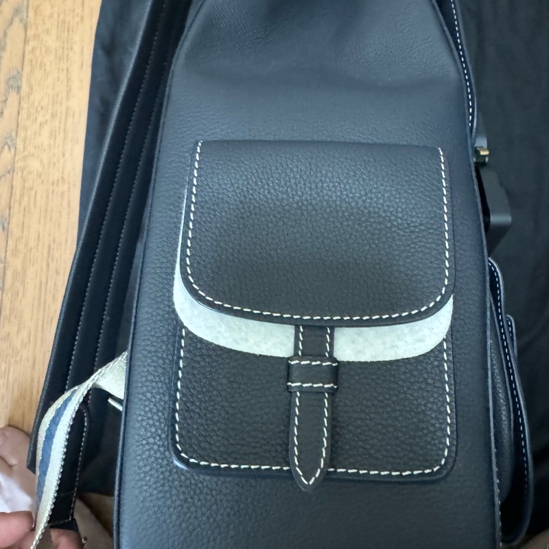 Dior x Kaws Saddle Maxi Gallop  Backpack-7