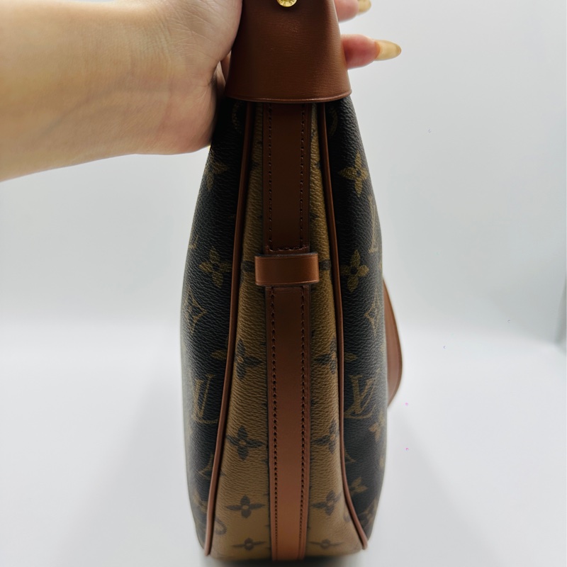 LV hobo 芯片款月牙包-3