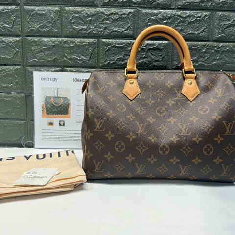 LV Speedy 30波士頓手提包