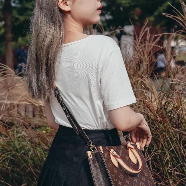 Lv老花琴譜包BB中款（新款芯片款）-9