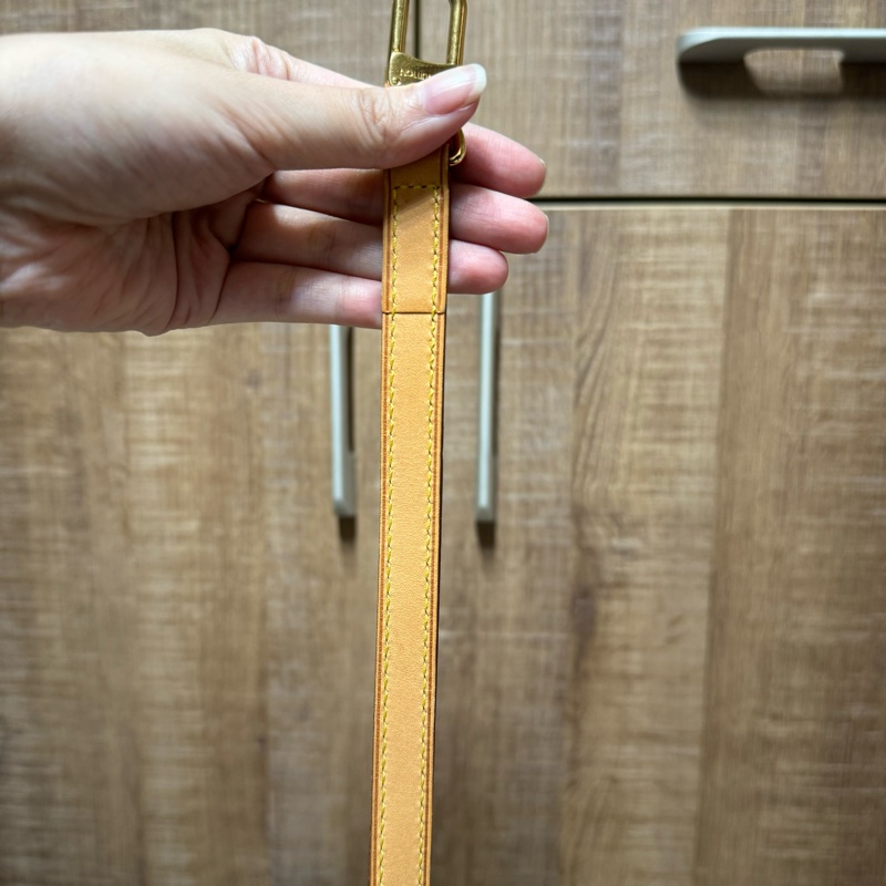 lv 斜背包 派拉蒙-33