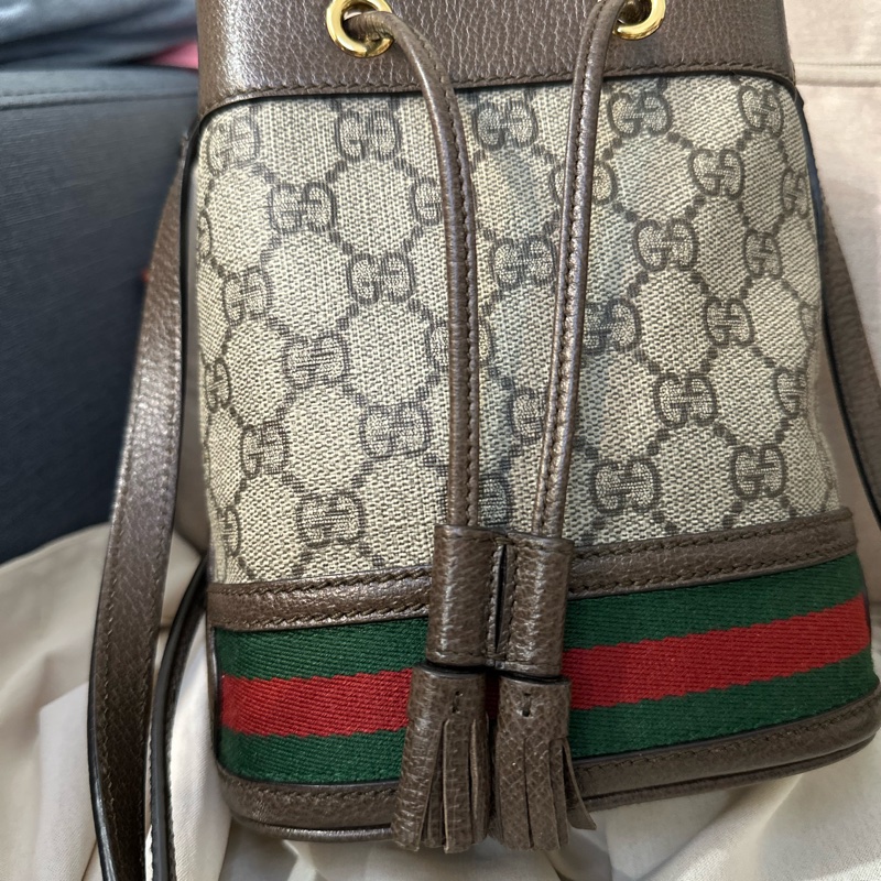 GUCCI 經典 Ophidia GG 印花帆布迷你水桶包-6