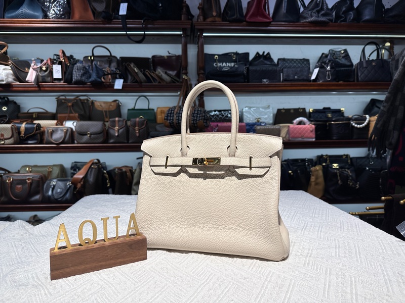 Hermes愛馬仕Birkin 30鉑金包 Craie 奶昔白金扣-1