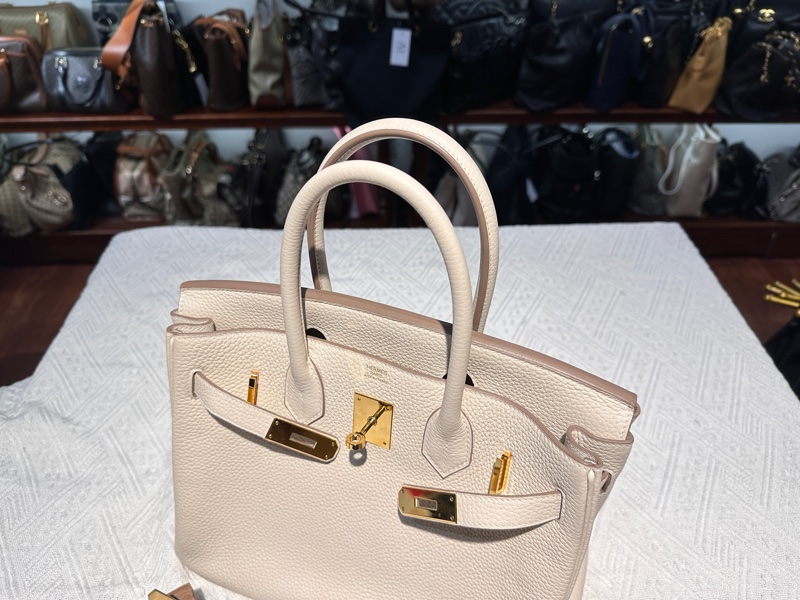 Hermes愛馬仕Birkin 30鉑金包 Craie 奶昔白金扣-6