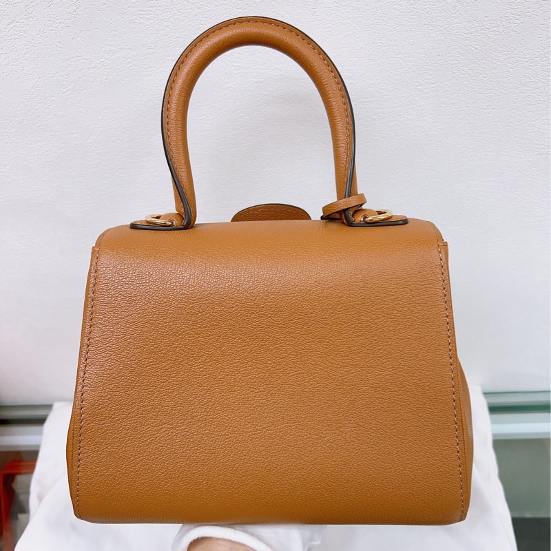 Delvaux brillant mini 焦糖棕色-1