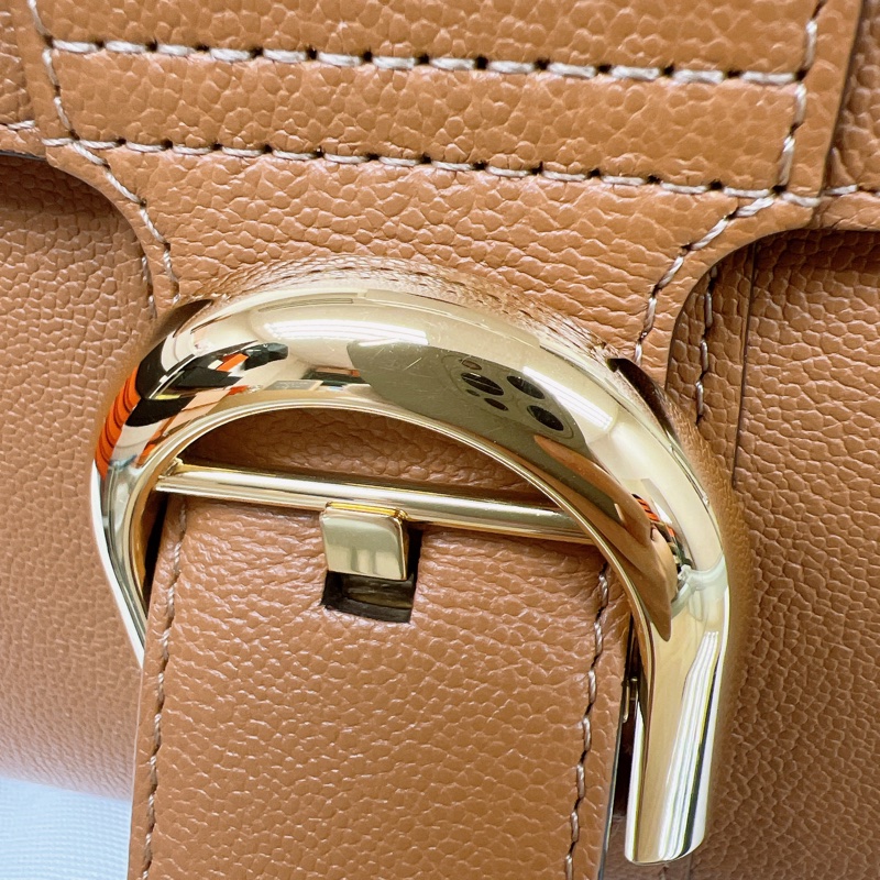 Delvaux brillant mini 焦糖棕色-4