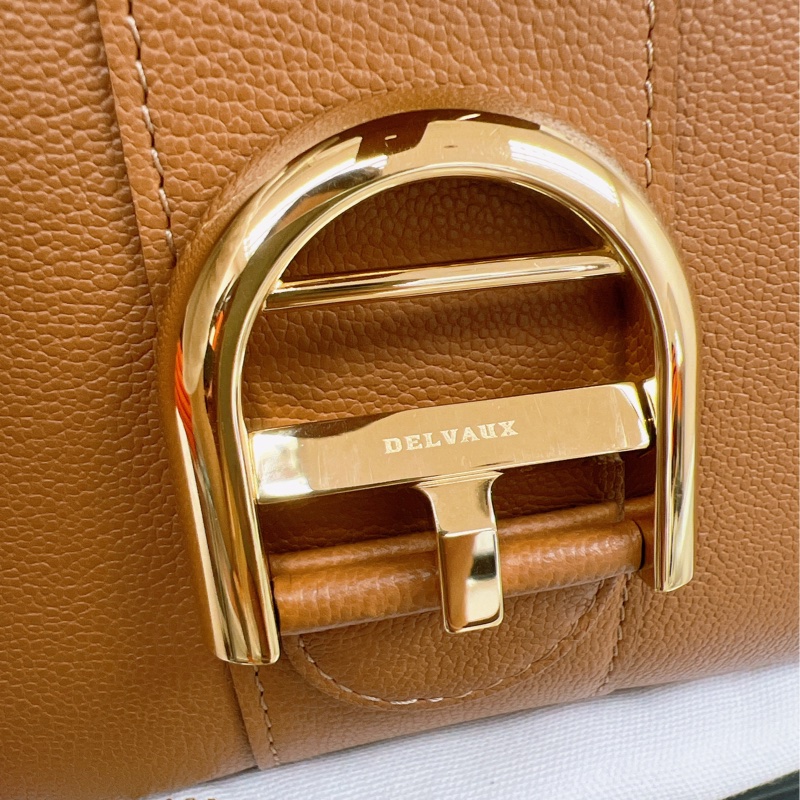 Delvaux brillant mini 焦糖棕色-5