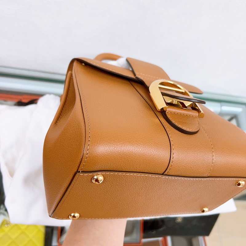 Delvaux brillant mini 焦糖棕色-11