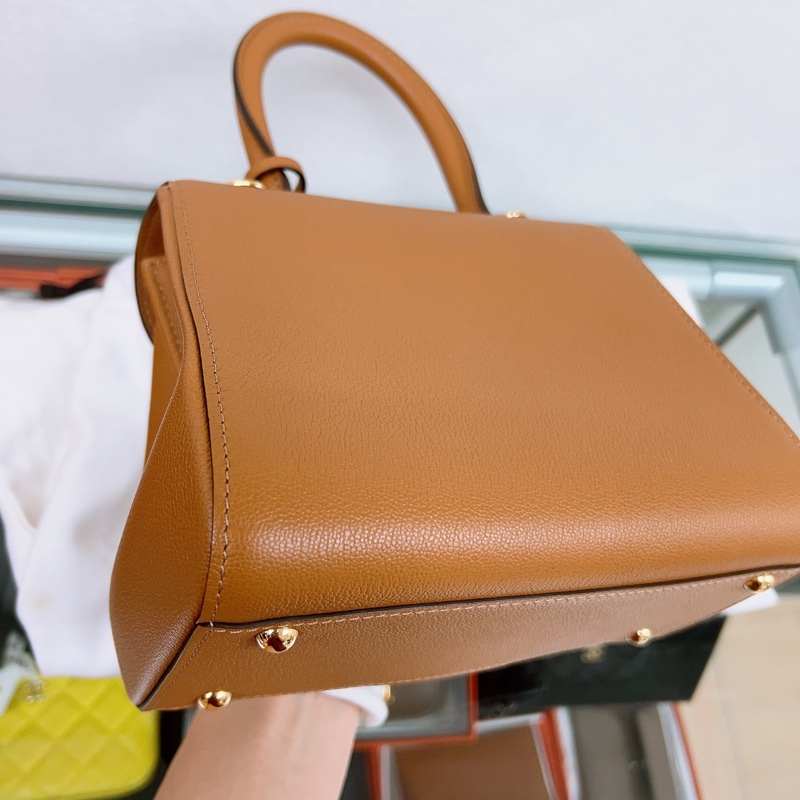 Delvaux brillant mini 焦糖棕色-13