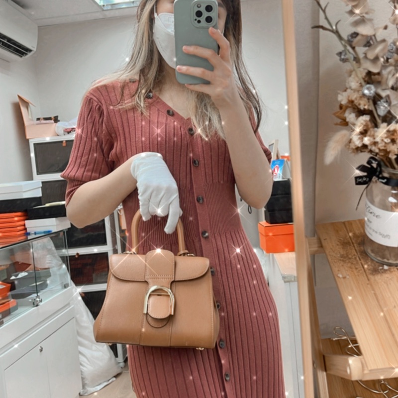 Delvaux brillant mini 焦糖棕色-17