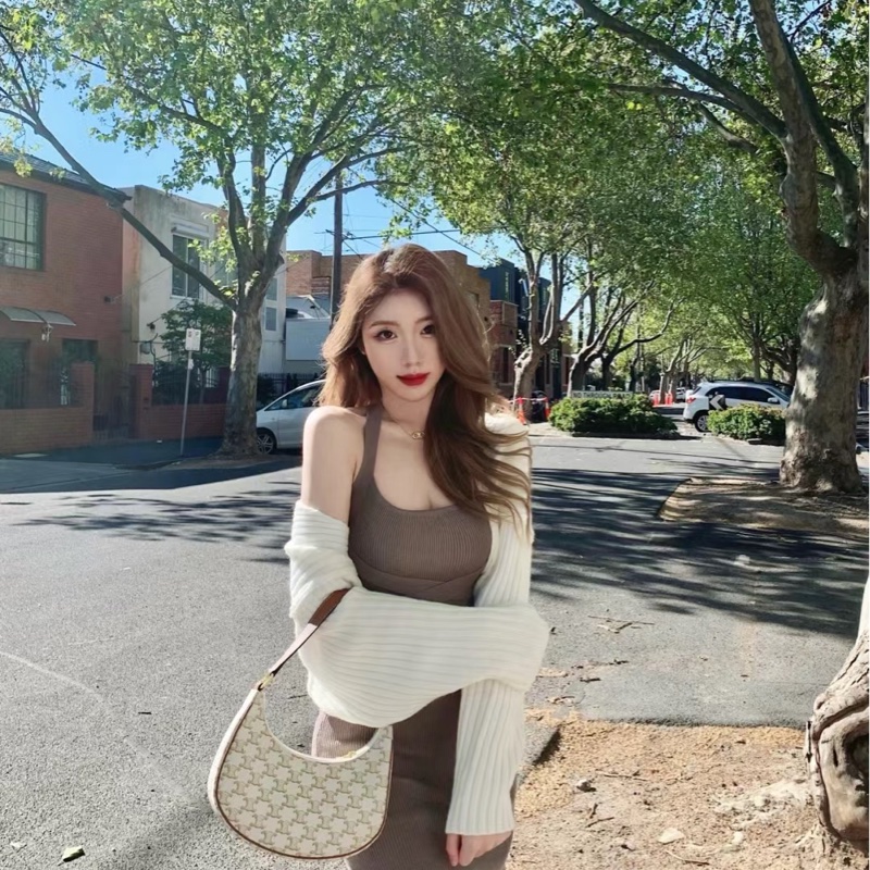 CELINE AVA TRIOMPHE腋下包-27