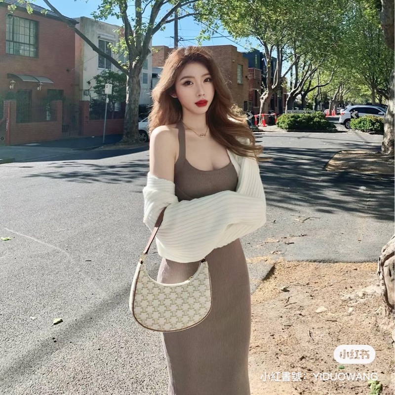 CELINE AVA TRIOMPHE腋下包-28